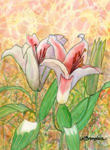 Lilies Awakening